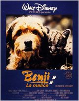 Benji la malice Benji la malice