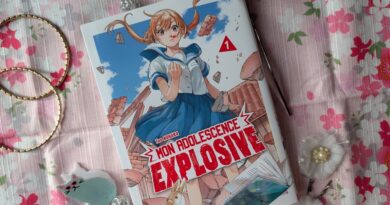 Mon adolescence explosive