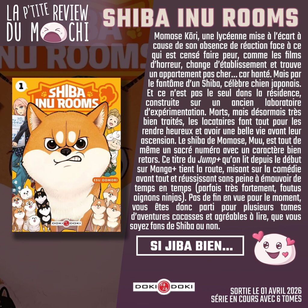 Shiba inu rooms