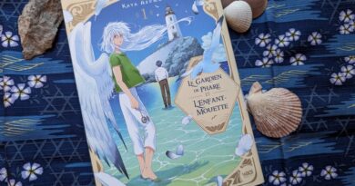 Le gardien de phare et l'enfant mouette