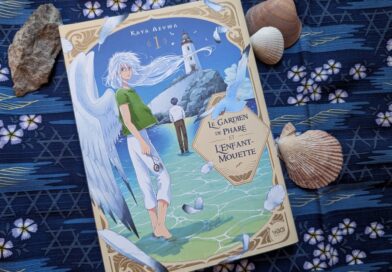 Le gardien de phare et l'enfant mouette