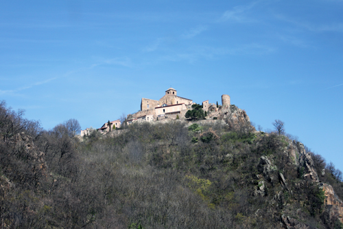 IMG_4511 IMG_4511