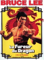 La_Fureur_du_dragon