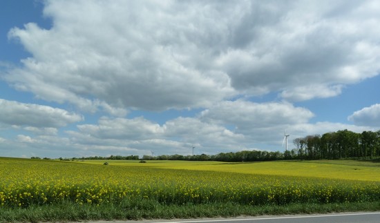 P1060890